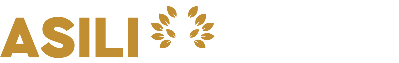 Asiliservice